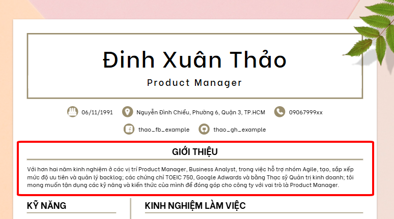 Hướng dẫn tạo CV chuẩn: 5 phần không thể thiếu